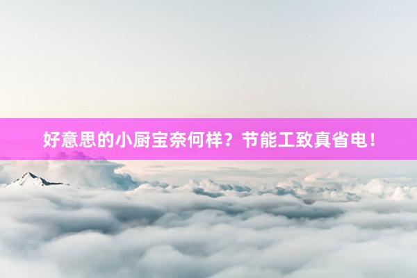 好意思的小厨宝奈何样？节能工致真省电！