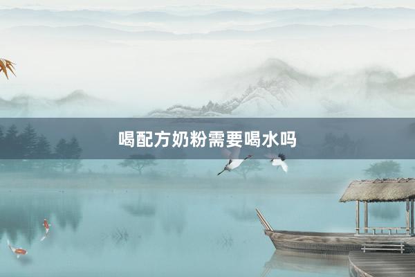 喝配方奶粉需要喝水吗