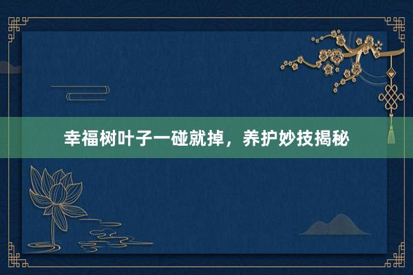幸福树叶子一碰就掉，养护妙技揭秘